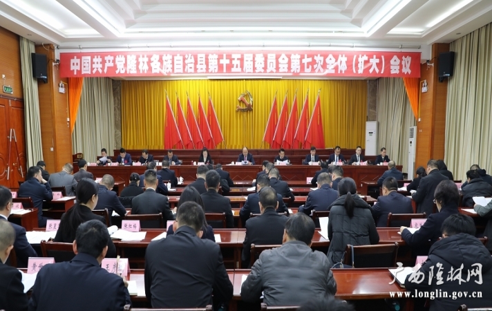 中国共产党隆林各族自治县第十五届委员会第七次全体会议公报