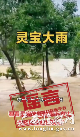 辟谣3