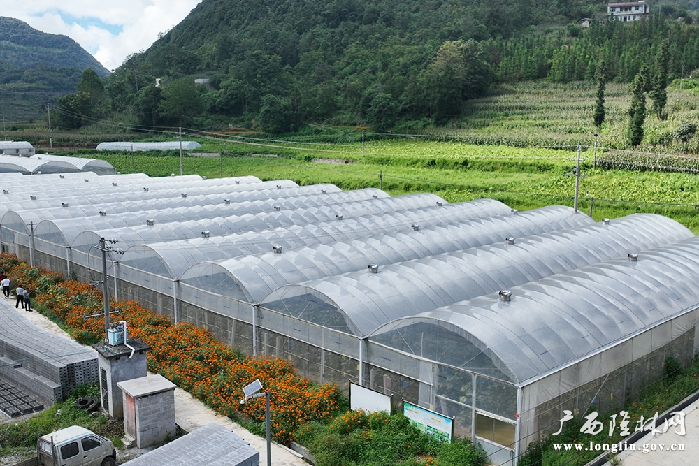 哈密瓜基地