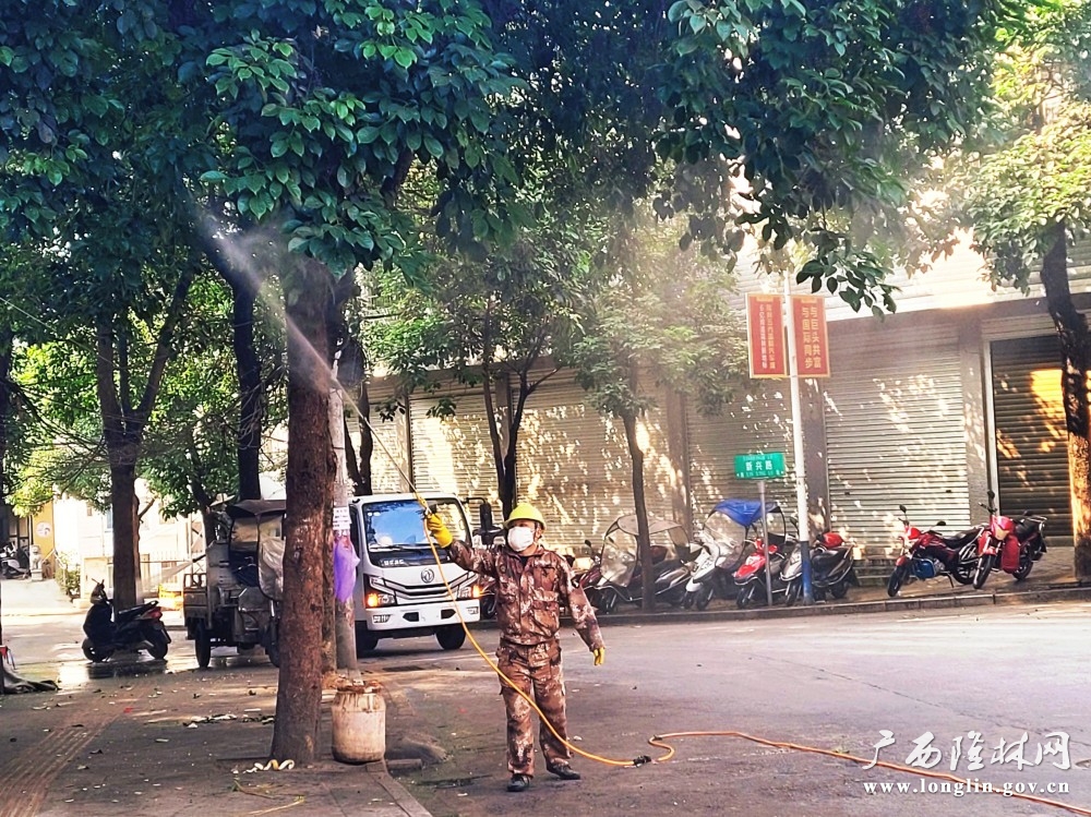 工作人员给路树喷洒药物