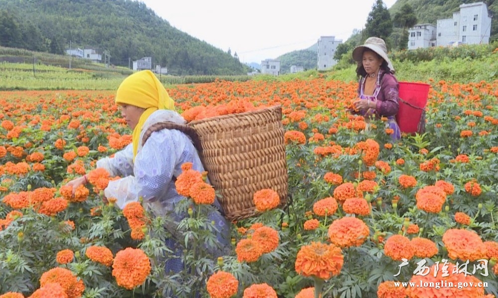 微信图片_2025-09-02_102703_683