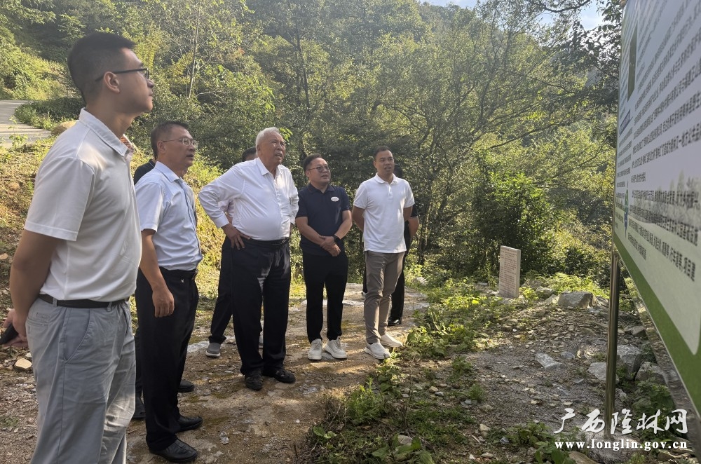 微信图片_20250918173149_52_273 微信图片_20250918173149_52_273