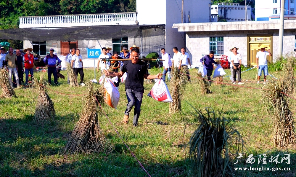 32c0860f3e48471e6382f8d405599dff