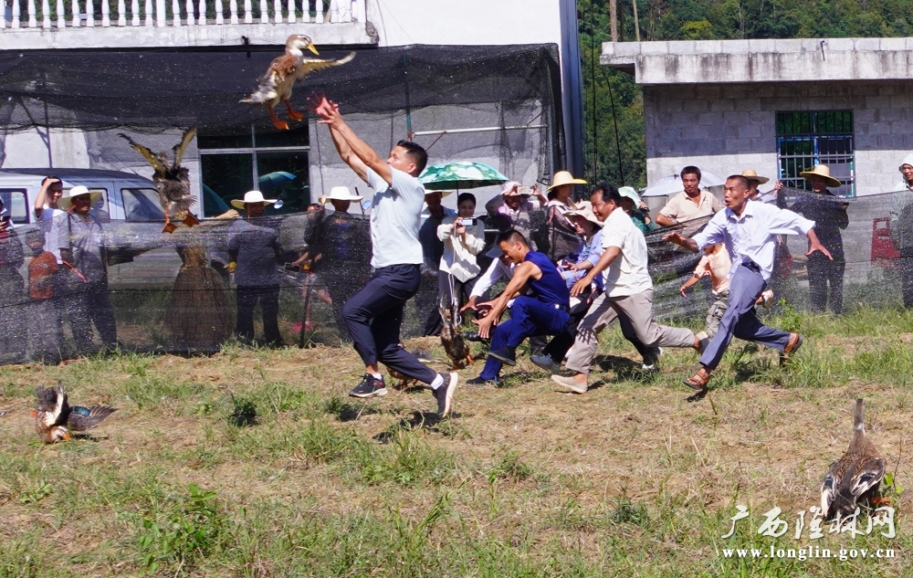 a0ee025875ea10768b3a7301c38fdddd