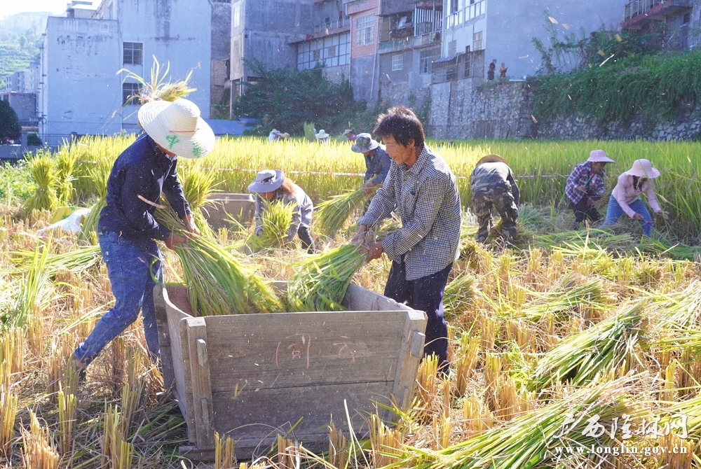 4b6eb73747e35c6d729ad4d8a1ea36c3