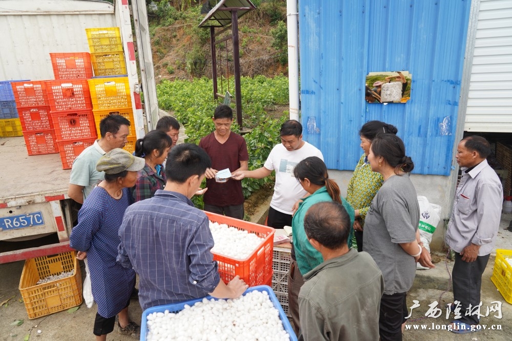 微信图片_20250926154150_107_30 微信图片_20250926154150_107_30