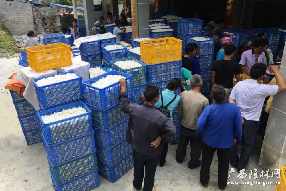 微信图片_20250926154314_112_30 微信图片_20250926154314_112_30