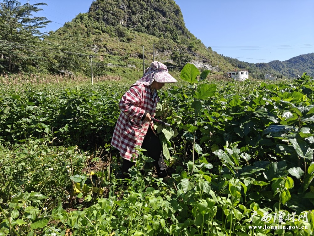 微信图片_20251010173537_106_178