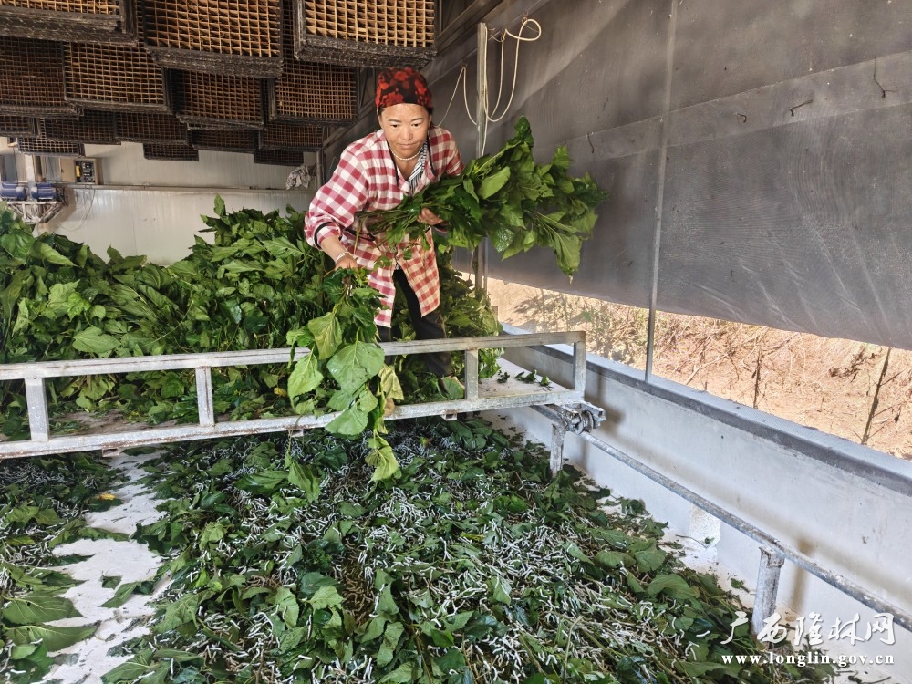 微信图片_20251010173538_107_178