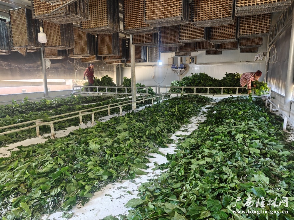 微信图片_20251010173540_108_178