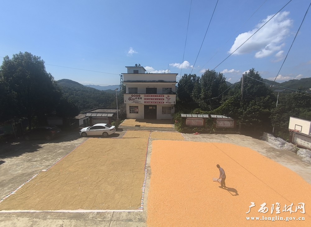 微信图片_20251011152936_119_30