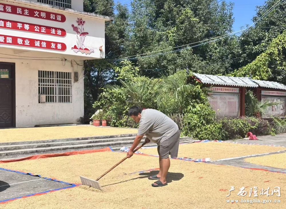 微信图片_20251011152937_120_30