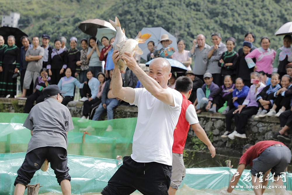 浑水摸鱼 浑水摸鱼