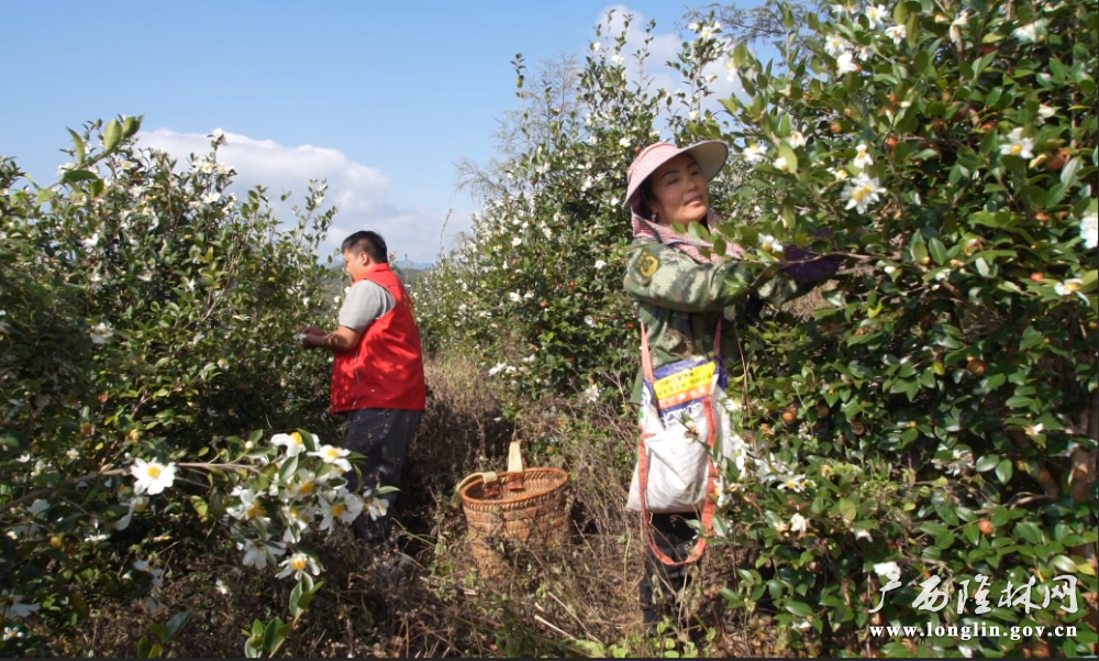 微信图片_20251118164611_268_261 微信图片_20251118164611_268_261