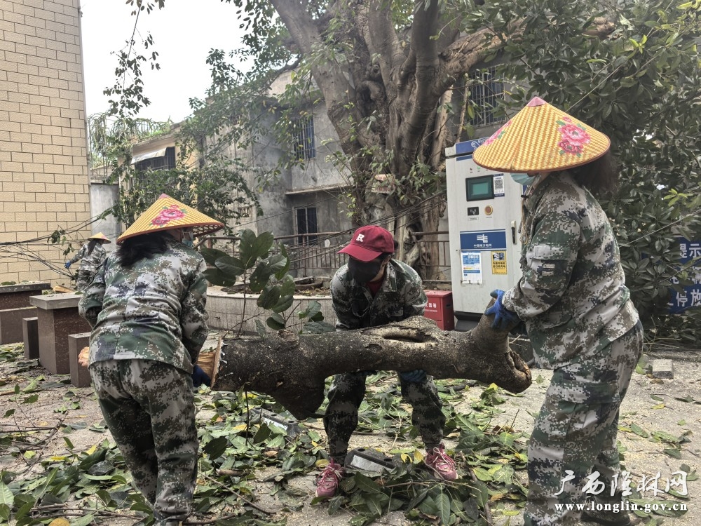 图为保洁人员修剪的清理树枝 (1)