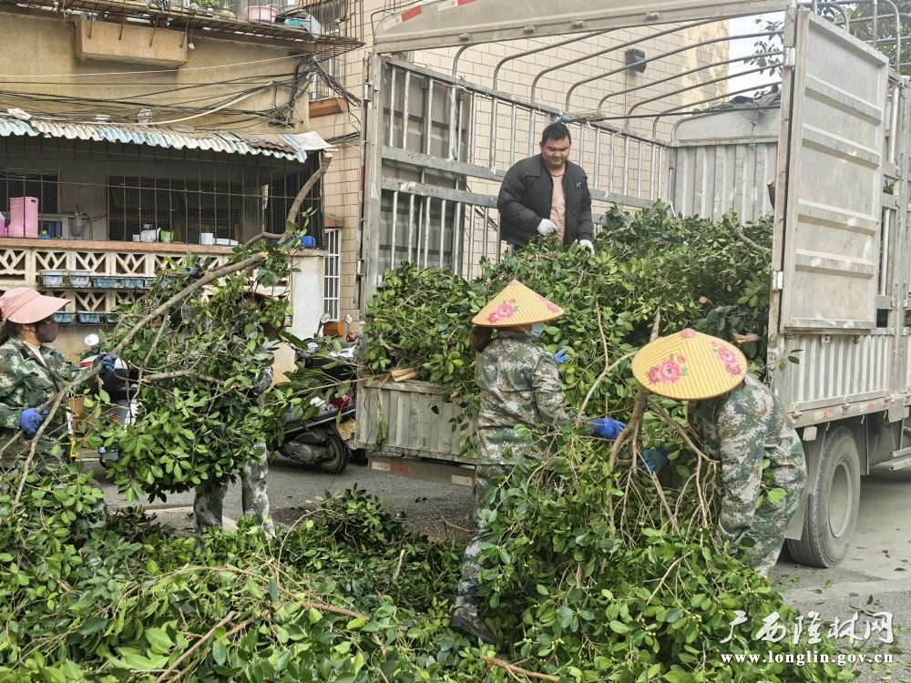 图为保洁人员修剪的清理树枝 (2)