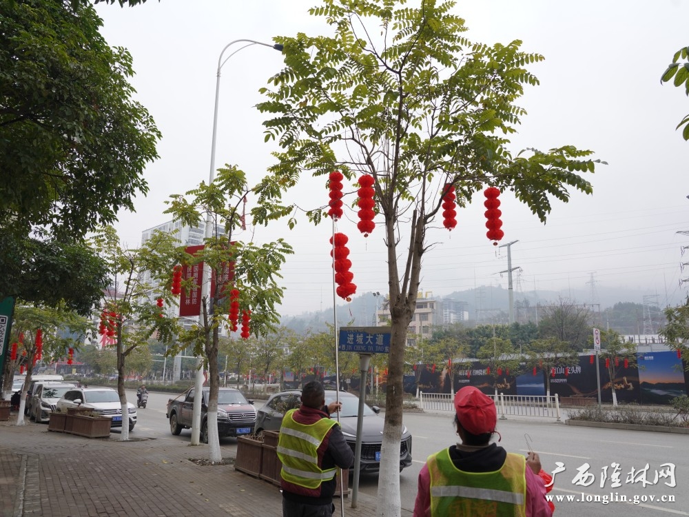 微信图片_20260203174542_570_177 微信图片_20260203174542_570_177