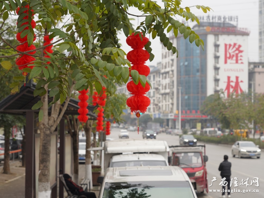 微信图片_20260203174543_571_177 微信图片_20260203174543_571_177