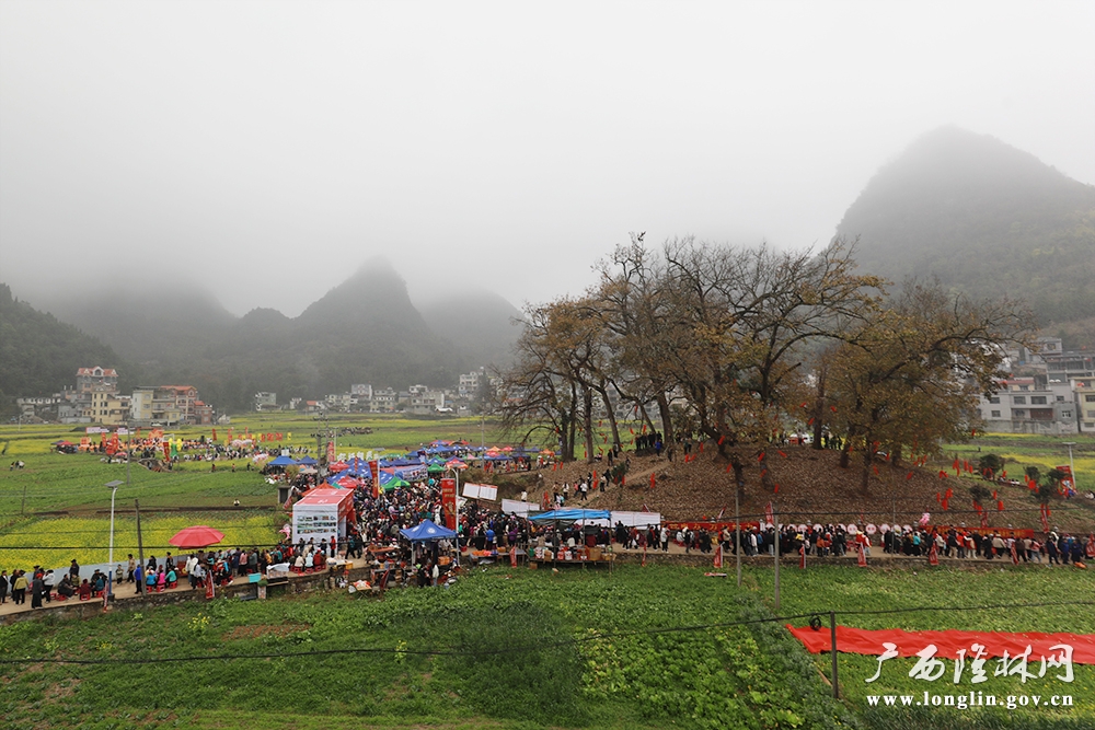 活动现场 活动现场