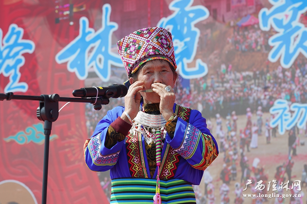 口琴展演 口琴展演