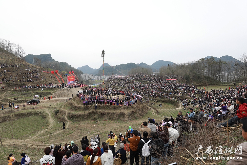 活动现场1 活动现场1