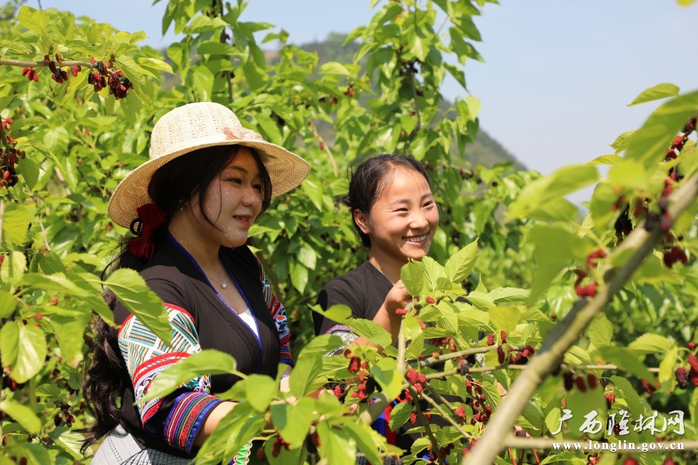 微信图片_20260409090632_248_30