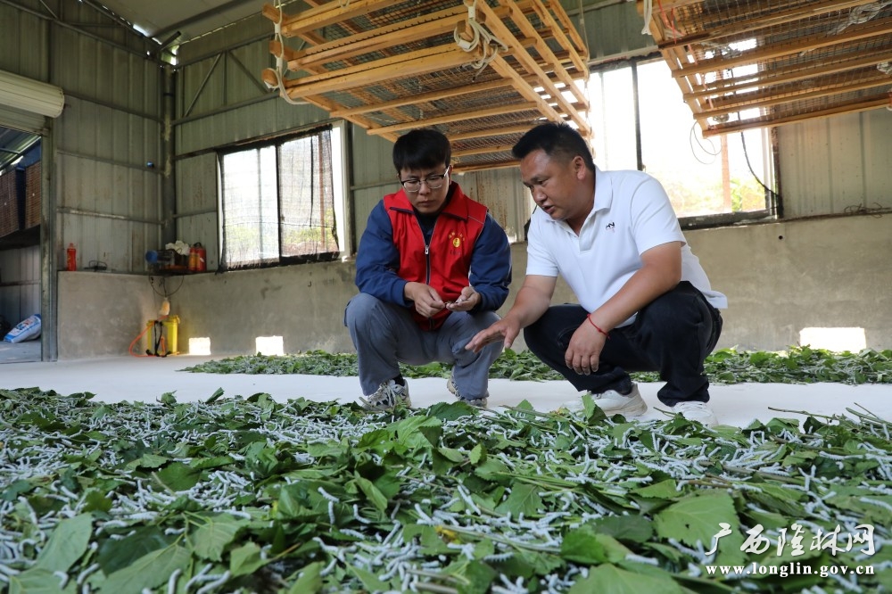 微信图片_20260409090630_246_30