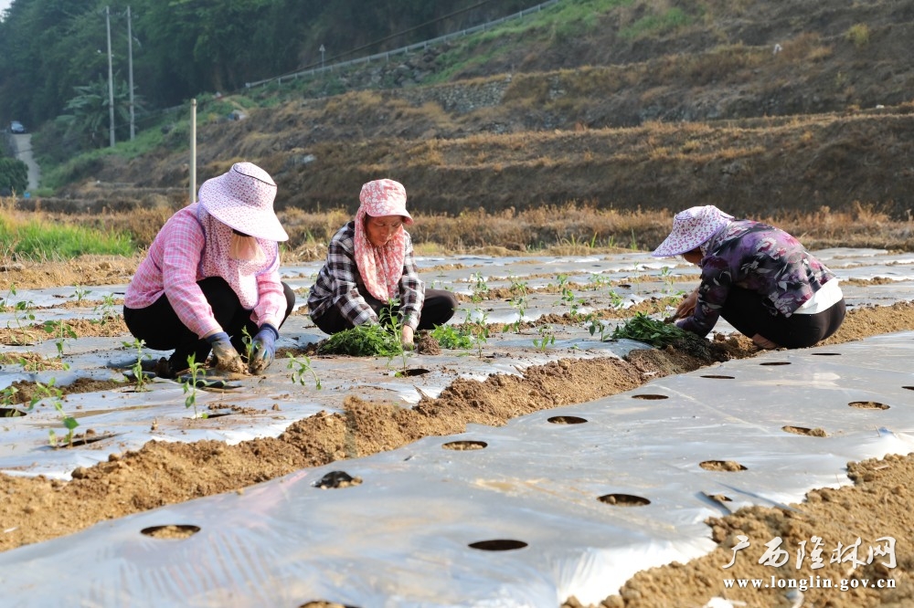 微信图片_20260409090628_245_30